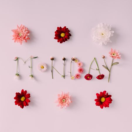 Word "MONDAY" made of flowers on pink background