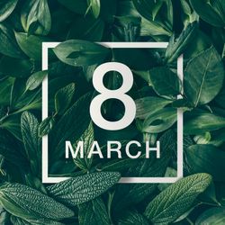 Green leaves layout with light frame with the words “8 MARCH”