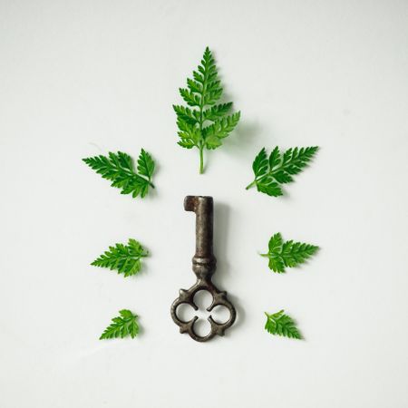 Vintage key surrounded with leaves on light background