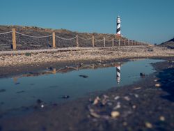 Sidewalk leading to lighthouse in countryside
