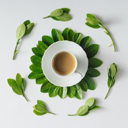 Morning coffee and green leaves in flower shape on light background