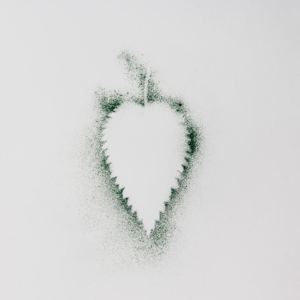 Nettle leaf outline of green dust on light background