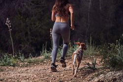 Crop fit sportswoman jogging with dog on narrow path in green forest