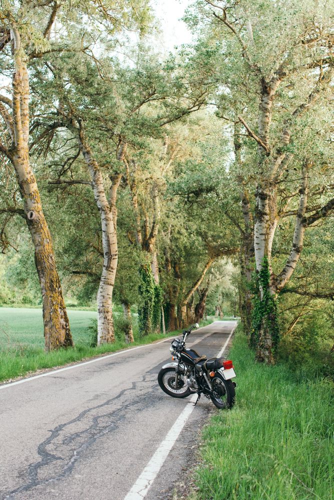 Motorcycle on countryside road near grass