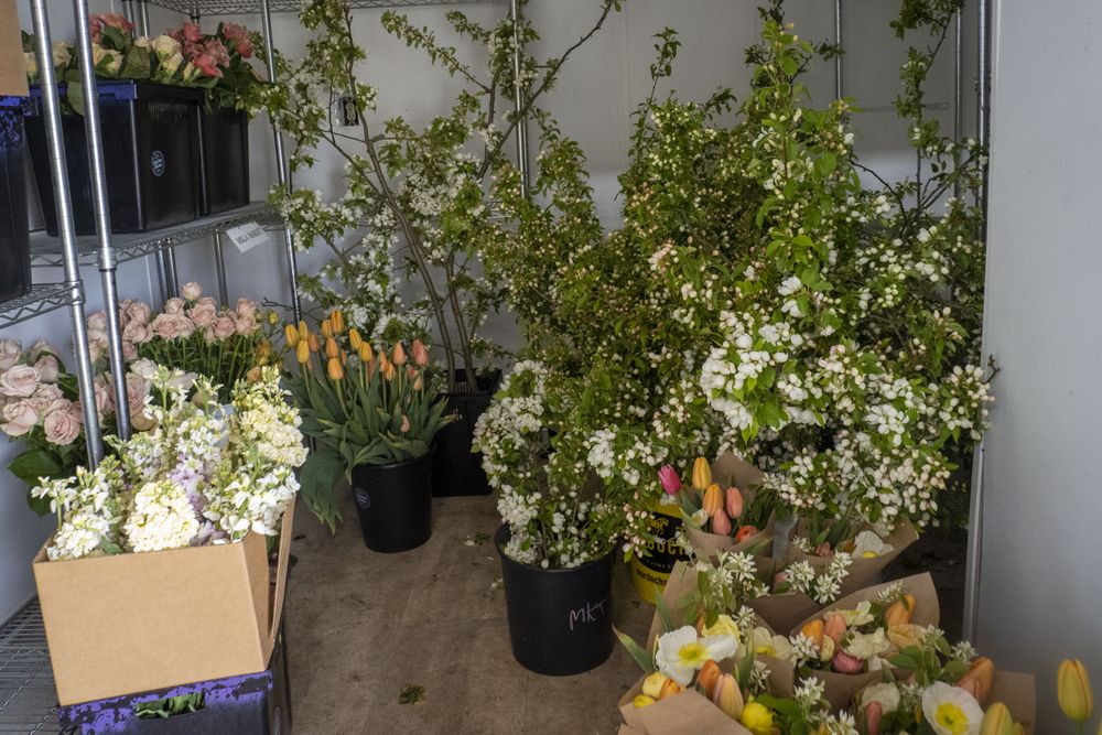 Buckets of flowers in plant shop
