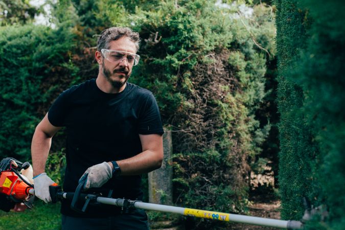 Man pruning arizonica hedge