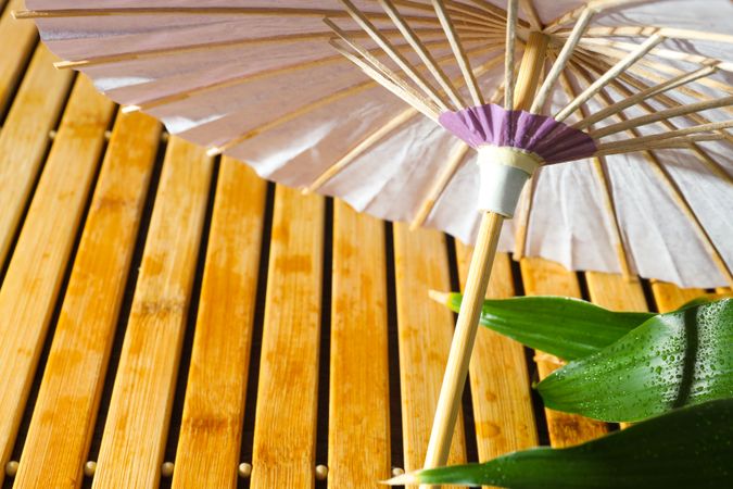 Traditional japanese umbrella, traditional japanese accessories concept