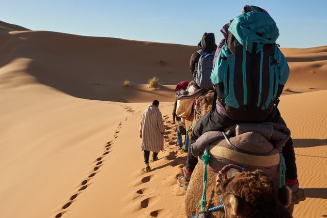 Camels and people going in desert