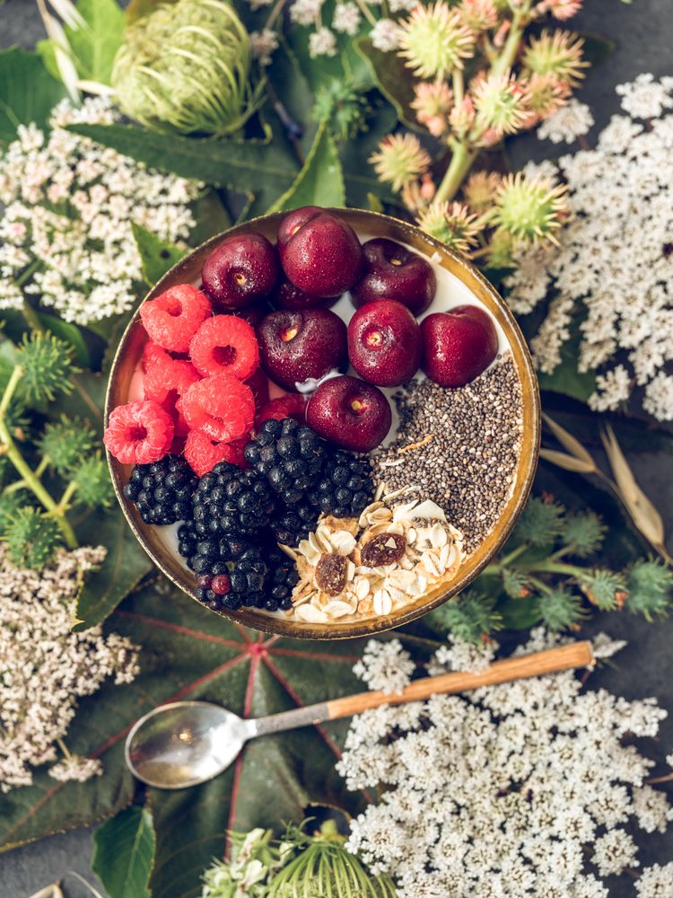 Delicious berry and yogurt breakfast bowl among plants