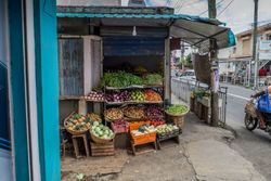 Outside of fruit and vegetable market next to street