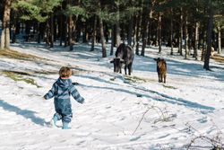 Baby running in snowdrifts in forest with animals