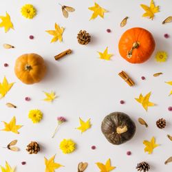 Colorful autumn pattern made of pumpkins, leaves and flowers
