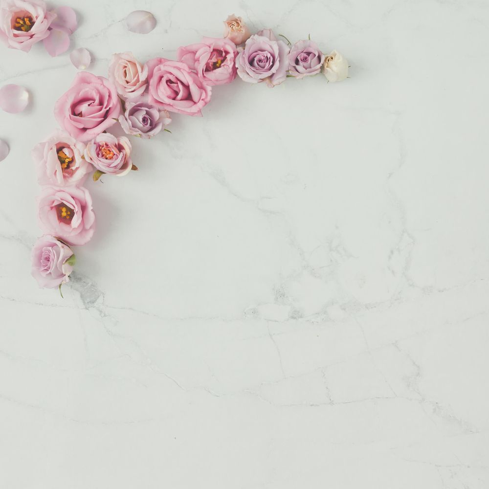 Semi circle of rose flowers and petals on light background