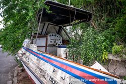 Abandoned boat surrounded by leaves 47pvab