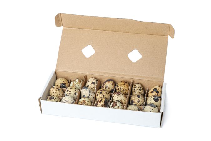 Quail eggs in carton box isolated on light background