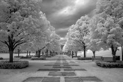 Infrared line of trees leading up to Nelson Atkins Art Museum in Kansas City, Missouri e4BOMb