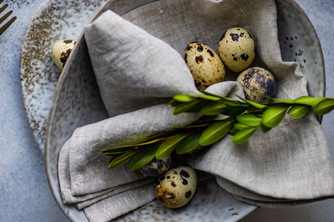 Easter card concept with top view of elegant grey ceramic bowl and speckled eggs and green branch