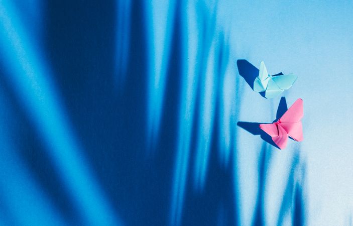 Paper butterflies on silk cloth