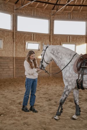 Rider with dapple gray horse in round arena