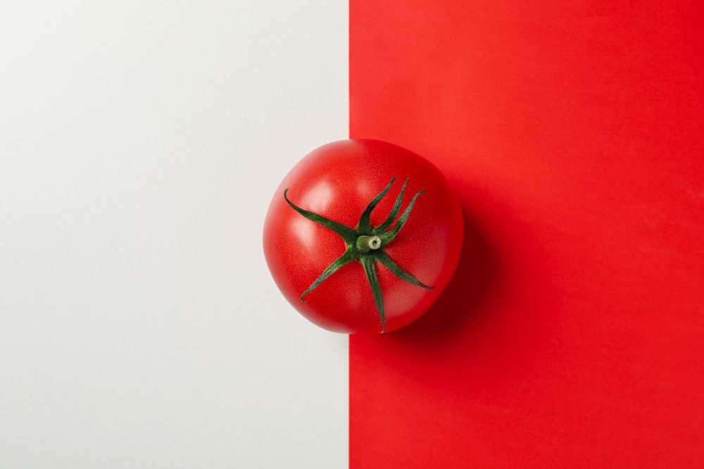 Fresh tomato on two tone background, top view