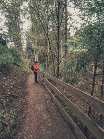 Tourist on hiking path among nature landscape