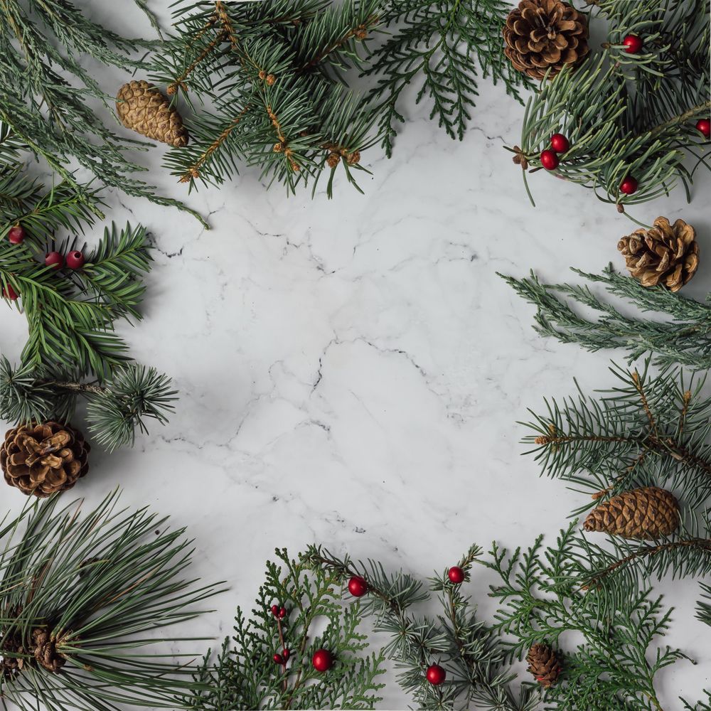 Winter foliage with pine cones bordering marble background