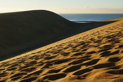 Sandy dunes with traces in sunlight
