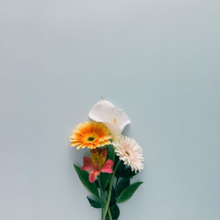 Flower bouquet of flowers on light background