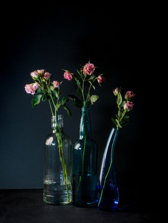 Retro camera near beautiful flowers