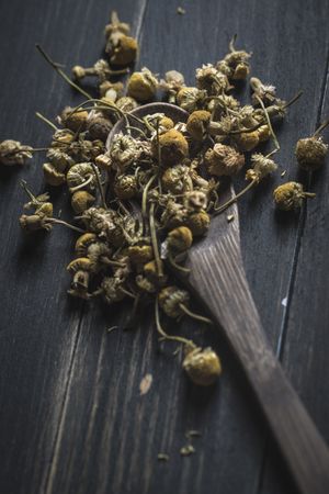 Spoonful of dried chamomile on wooden table