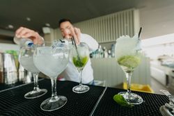 Cheerful Barman preparing alcoholic drinks in a bar.