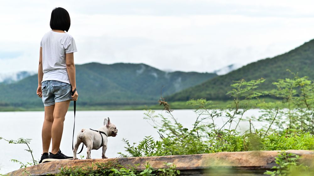 A woman in a T-shirt and a French bulldog stands facing the riverside.