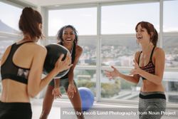 Sporty women exercising with medicine ball 5kRjBA