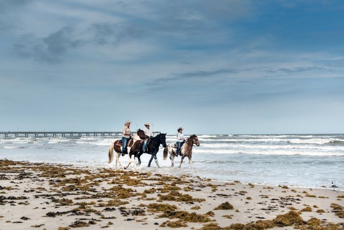 Three people on horseback on the appaloosa, ride along Padre Island, near Corpus Christi, Texas