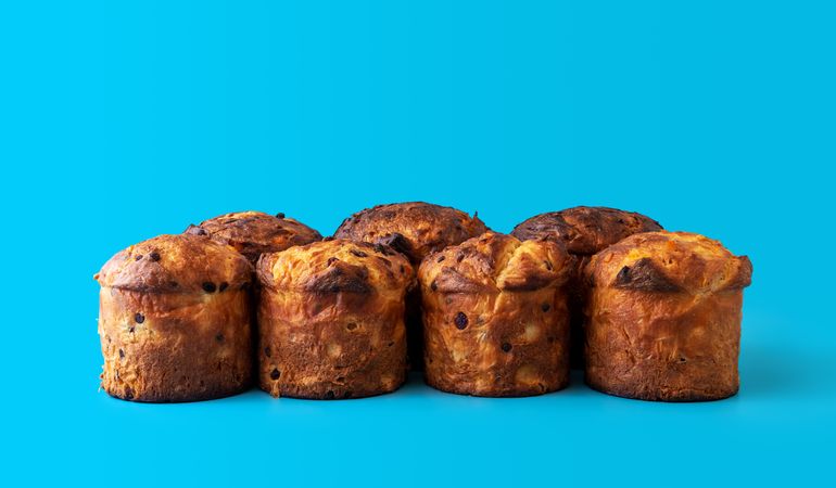 Panettone isolated on a blue background