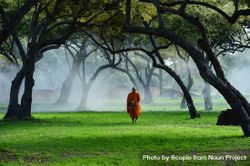 Buddhist monk standing between trees bGJvX4