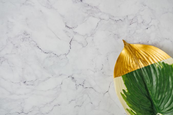 Gold tipped large leaf in corner of marble background