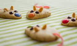 Cookies with mouse shaped and red licorice tail