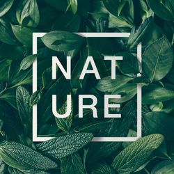 Green leaves layout with light frame with the word “NATURE”