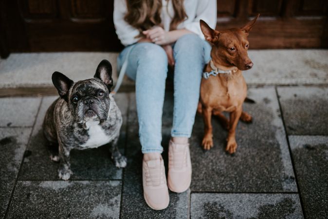 Stylish woman with dogs sitting on street