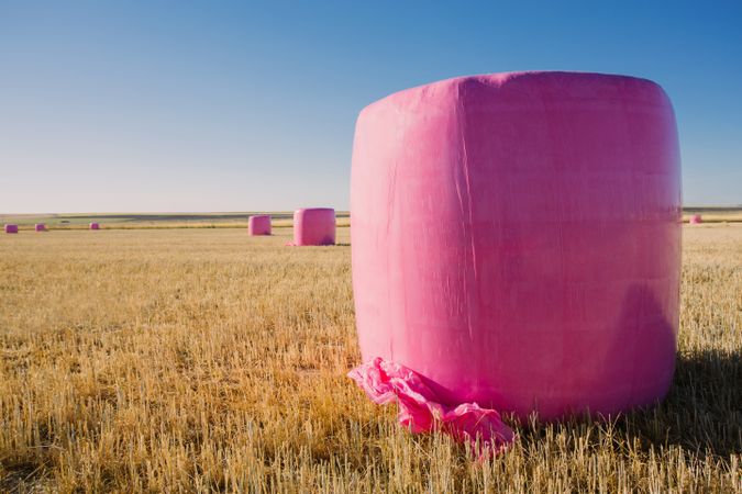 Bales wrapped with pink plastic