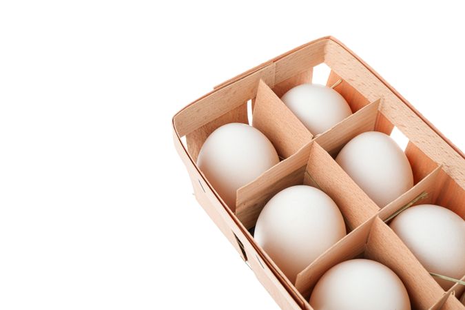 chicken eggs in carton box isolated on plain background