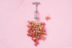 Natural wine production concept with red grapes