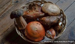 Bowl of foraged mushrooms on wooden table 4Mkdz0