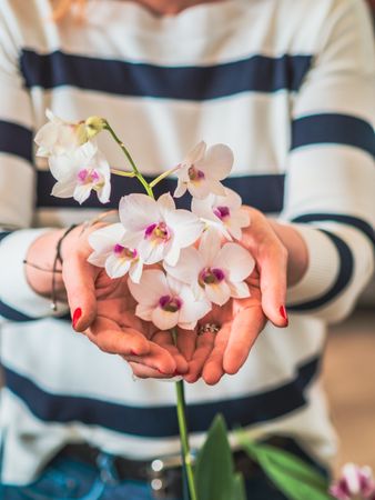 Female with beautiful orchid in hands