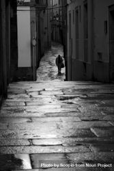 Grayscale photo of a person walking in an alley 0KJgMb