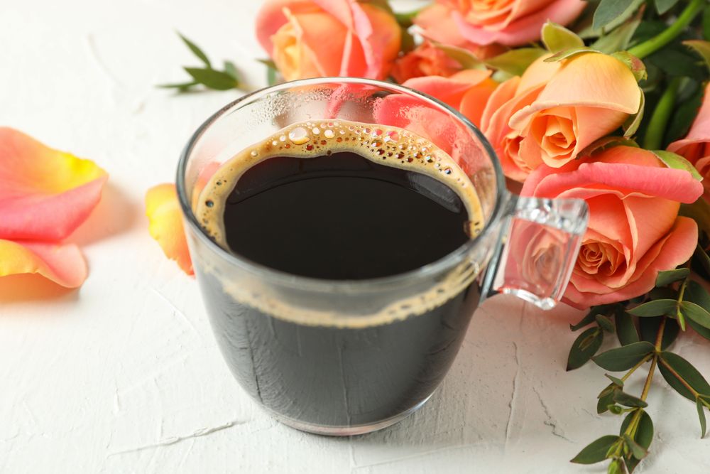 Cup of coffee and pink roses on blank background, closeup