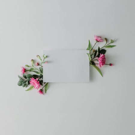 Pink flowers on light background with paper card