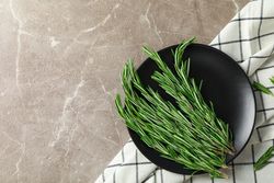 Plate with rosemary and towel on grey table, top view