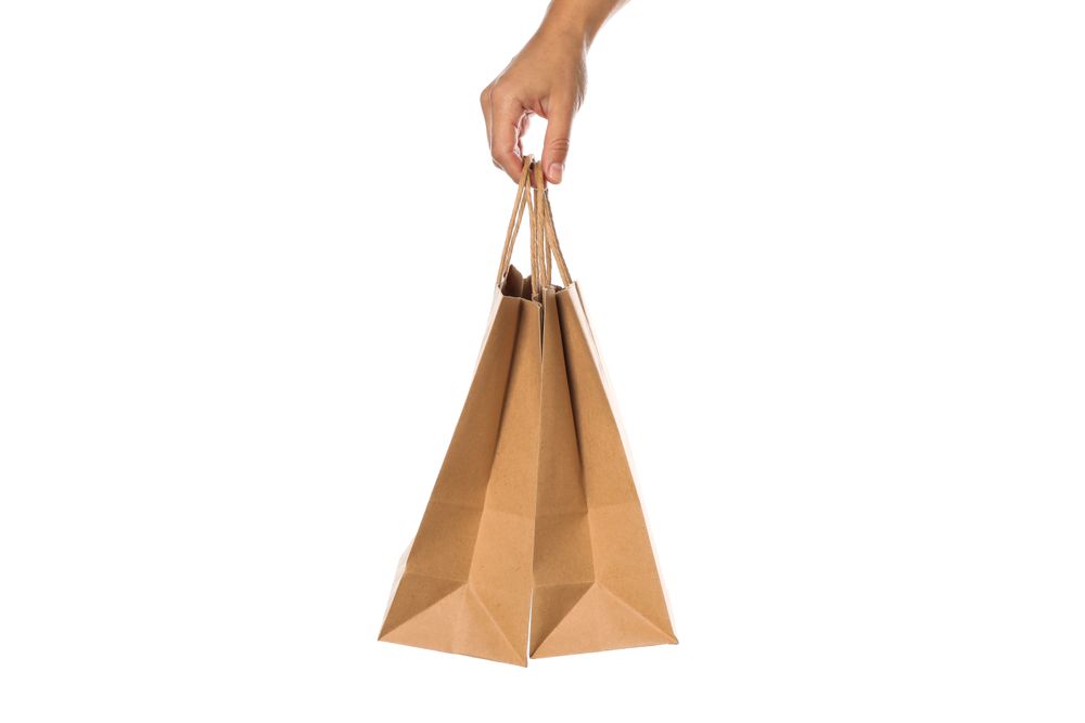 Female hand hold paper bags isolated on blank background